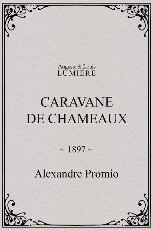 Caravane de chameaux