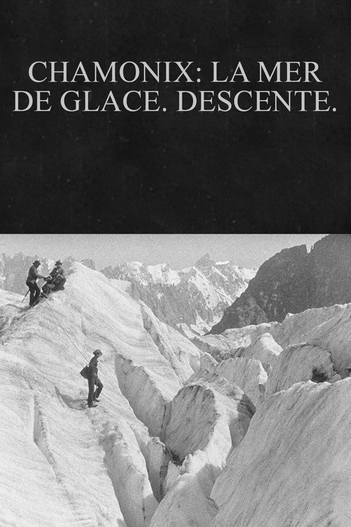 Chamonix : la mer de glace. Descente.