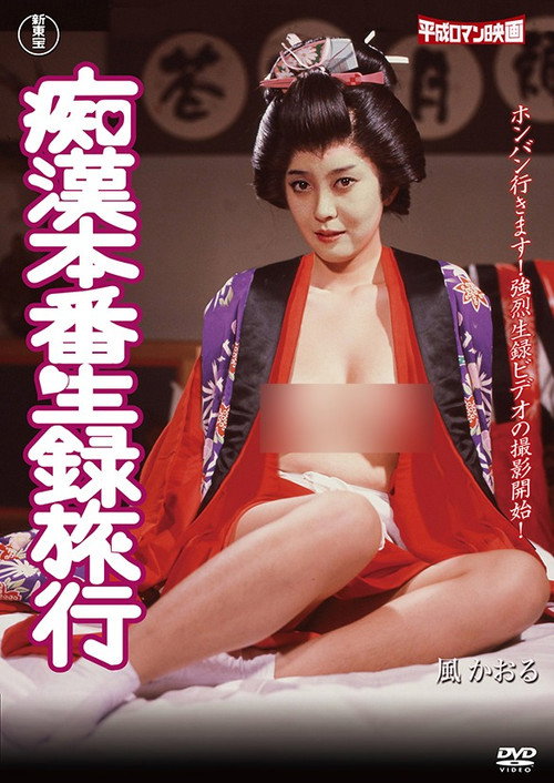 Chikan honban densha namadori ryokô