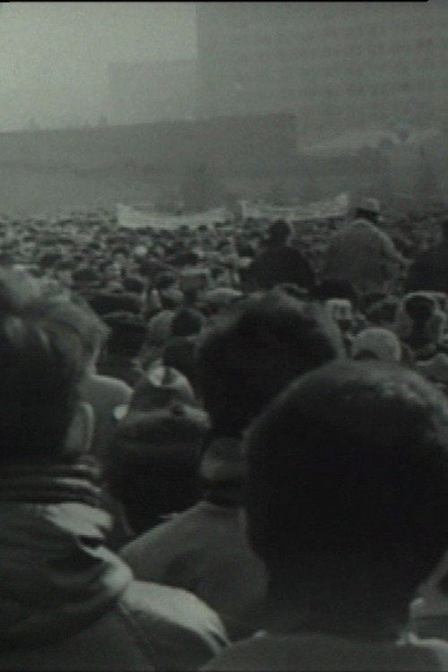 Chronicle of Undeclared Demonstration