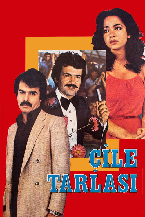 Çile Tarlasi