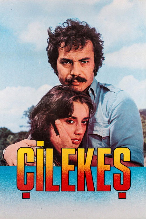 Çilekes