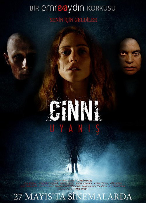 Cinni: Uyanis