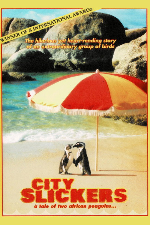 City Slickers: A Tale of Two African Penguins