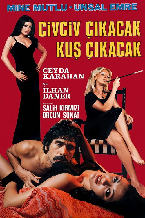 Civciv Çikacak Kus Çikacak