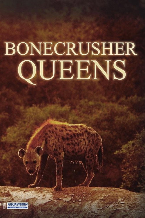 Clash of the Hyenas