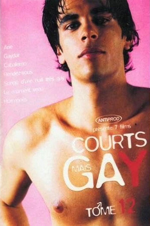 Courts mais GAY: Tome 12