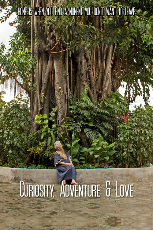 Curiosity, Adventure & Love