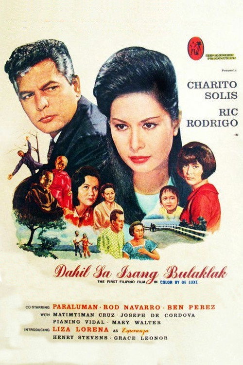 Dahil sa isang bulaklak