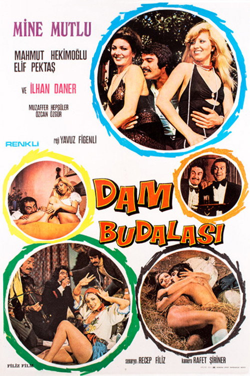 Dam Budalasi