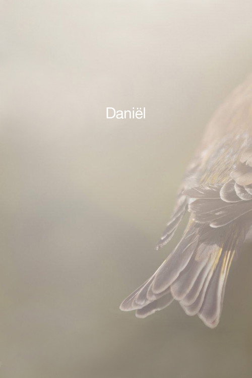 Daniel