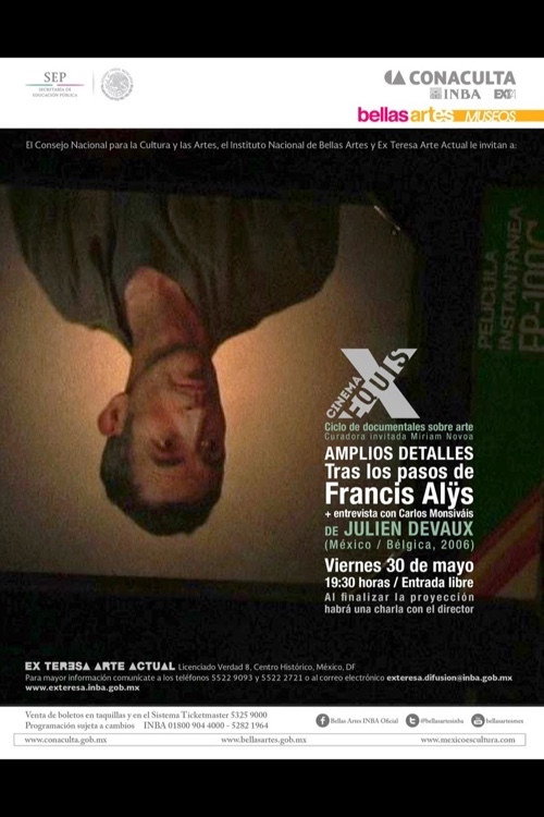 De larges détails (Sur les traces de Francis Alÿs)