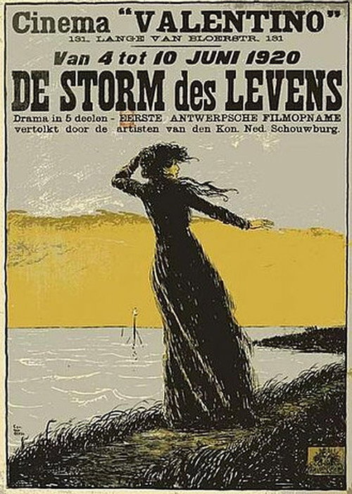 De storm des levens