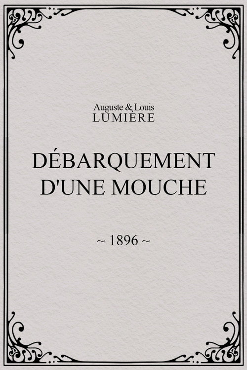 Débarquement d'une mouche