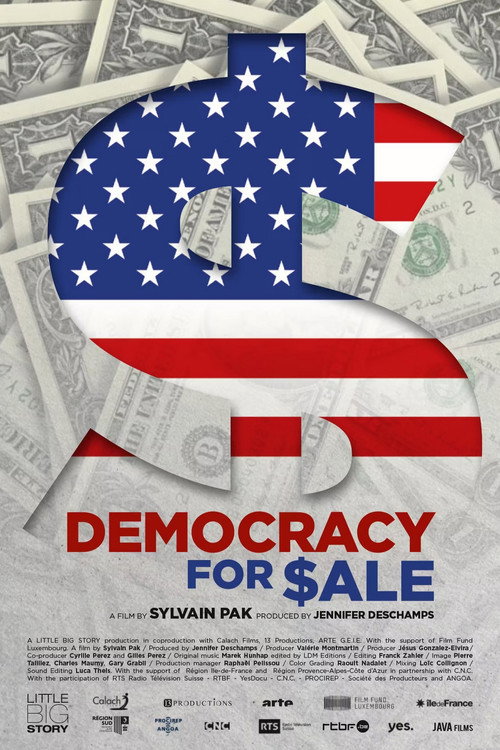Democracy for Sale