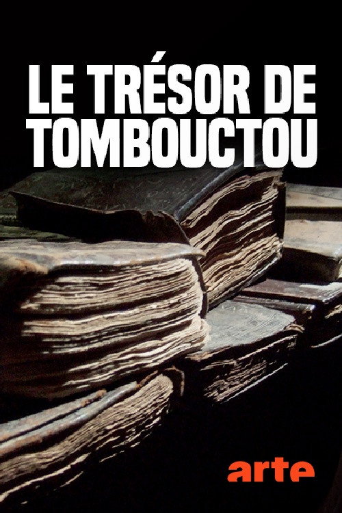 Poster for Der Schatz von Timbuktu, die geschichte einer rettung