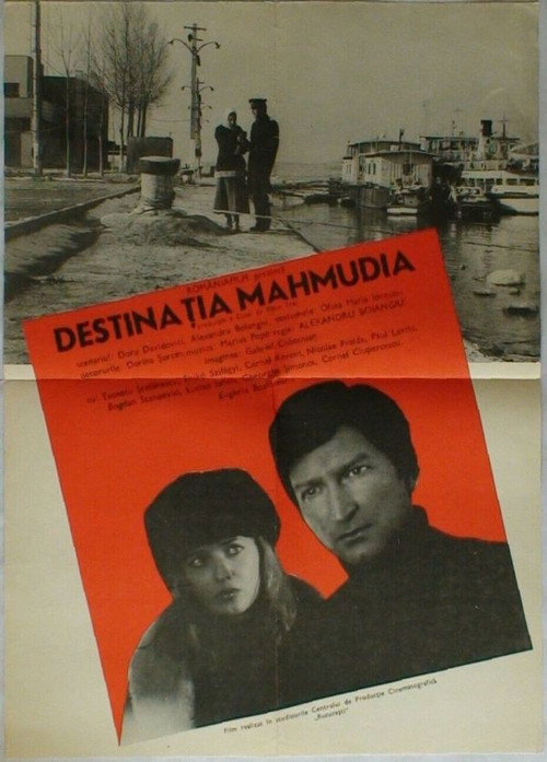 Destinatia Mahmudia