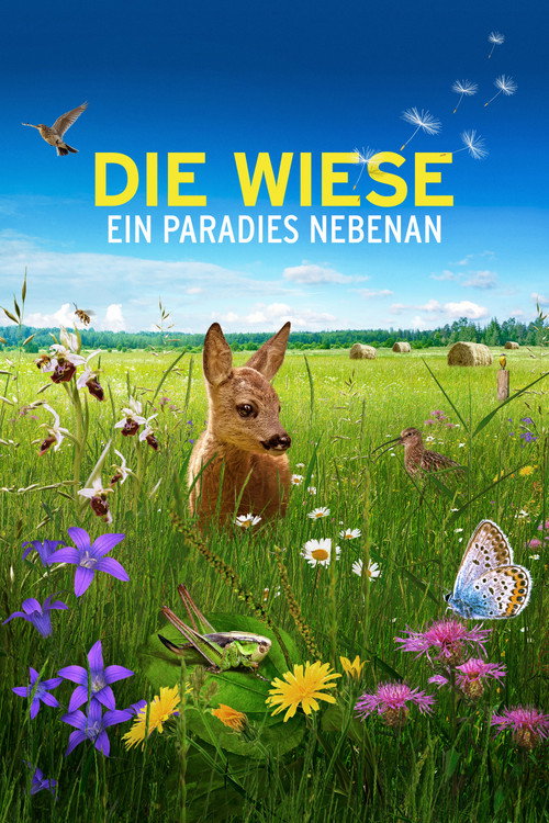 Die Wiese