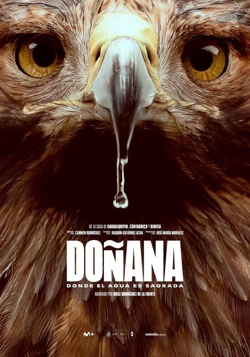Doñana: Donde el agua es sagrada