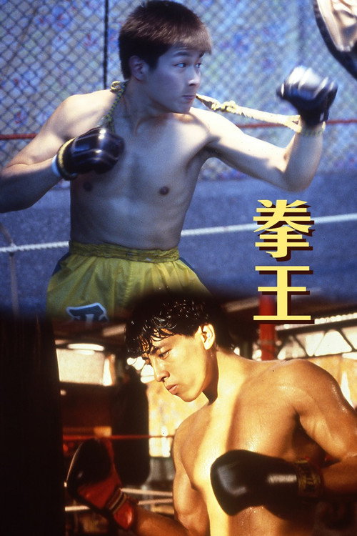 Dreams of Glory: A Boxer's Story