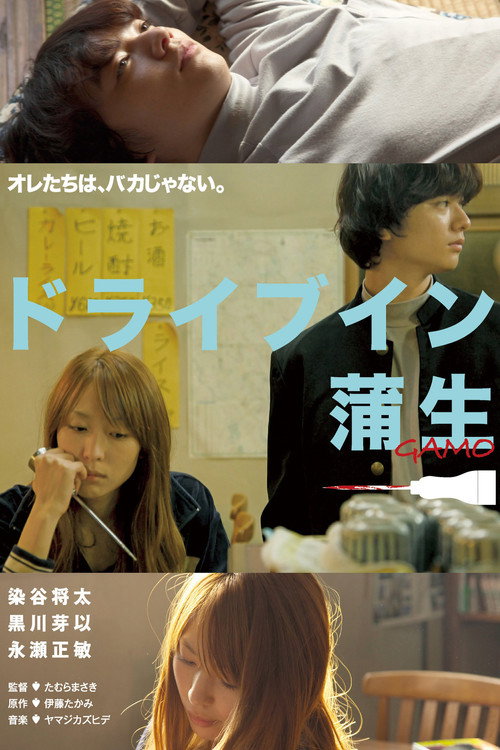 Drive in Gamo