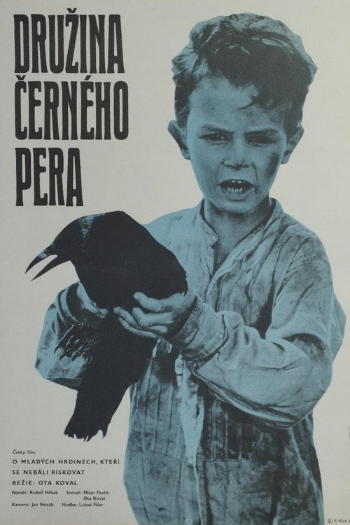 Druzina cerného pera