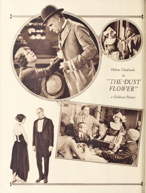 Dust Flower