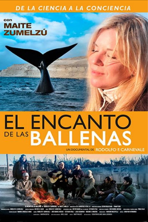 El encanto de las ballenas