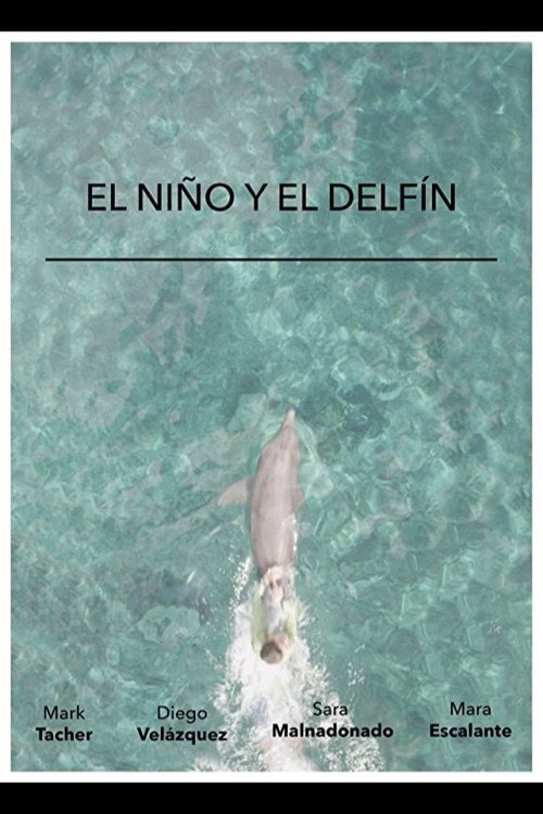 El Niño y El Delfín