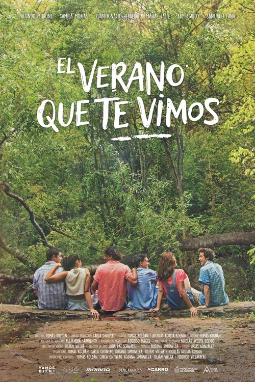 El Verano que te Vimos