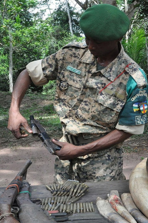Elephant Path: Njaia Njoku