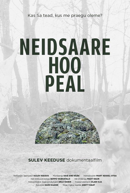 Poster for Elusive Landscapes