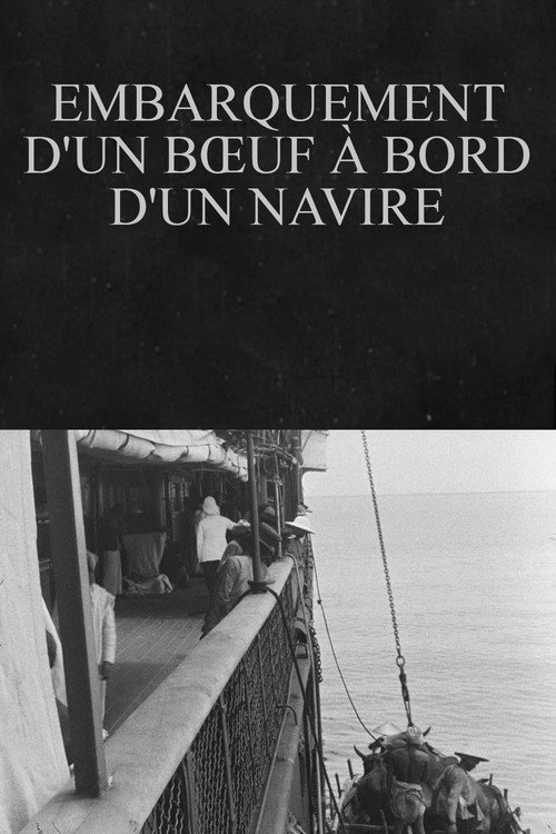 Poster for Embarquement d'un boeuf à bord d'un navire