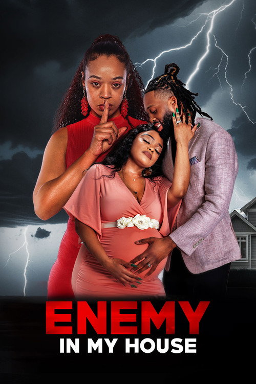 Enemy in My House