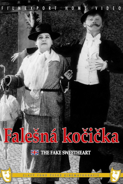 Falesná kocicka aneb Kdyz si zena umíní