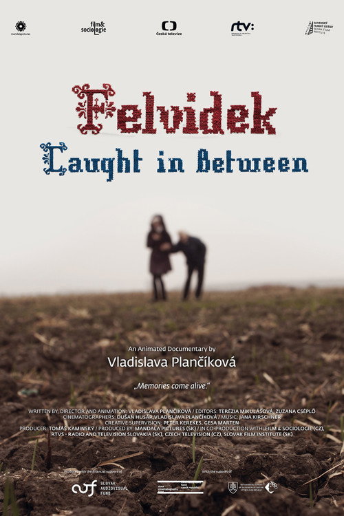 Felvidek: Caught in Between