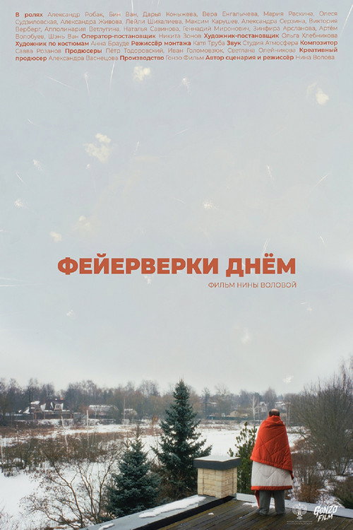 Feyerverki dnyom