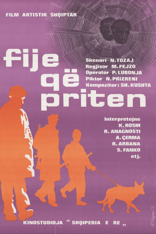 Fijet që priten