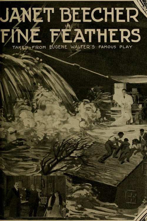 Fine Feathers