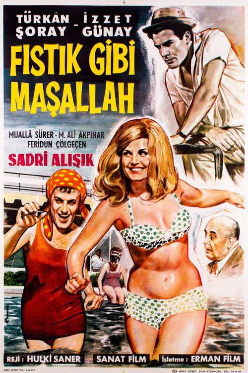 Fistik gibi masallah
