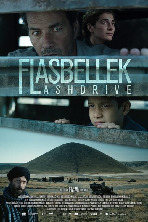 Flash Drive