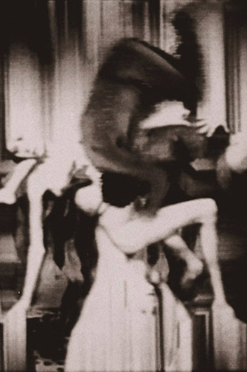 Flesh Angels