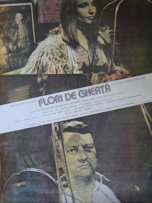 Flori de gheata