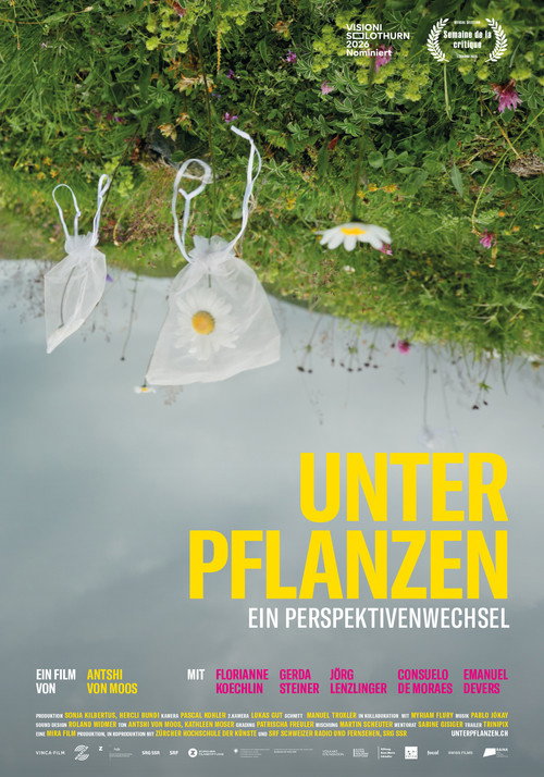 Flying Scents - of plants and people