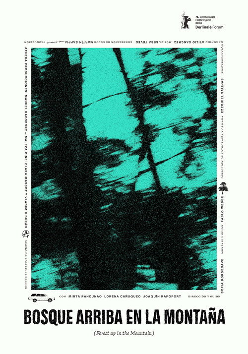 Forest Up in the Mountain