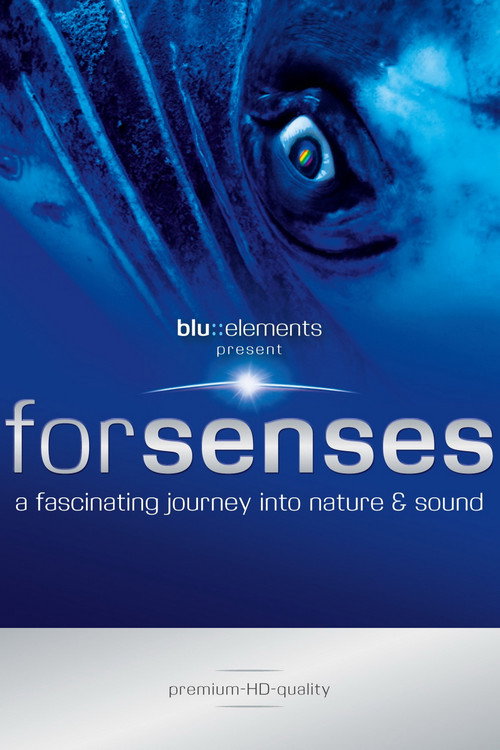 Forsenses: A Fascinating Journey Into Nature & Sound