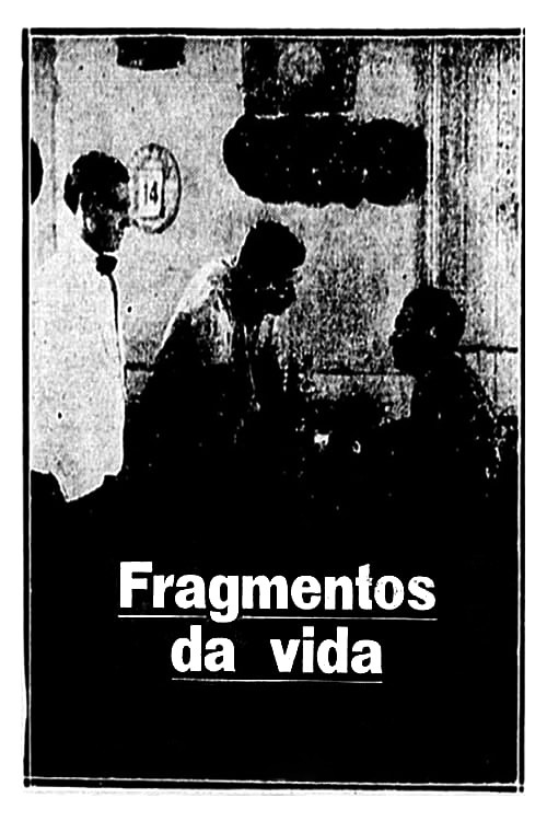 Fragments of Life
