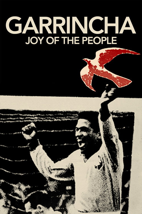 Garrincha: Hero of the Jungle