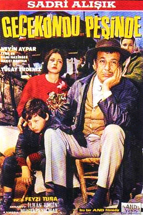 Gecekondu pesinde