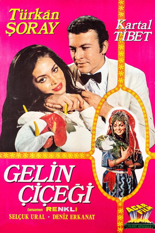 Gelin Çiçegi